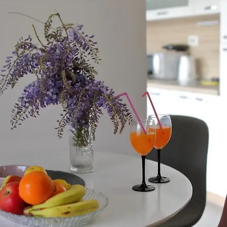 דירה Nikic ביבינייה