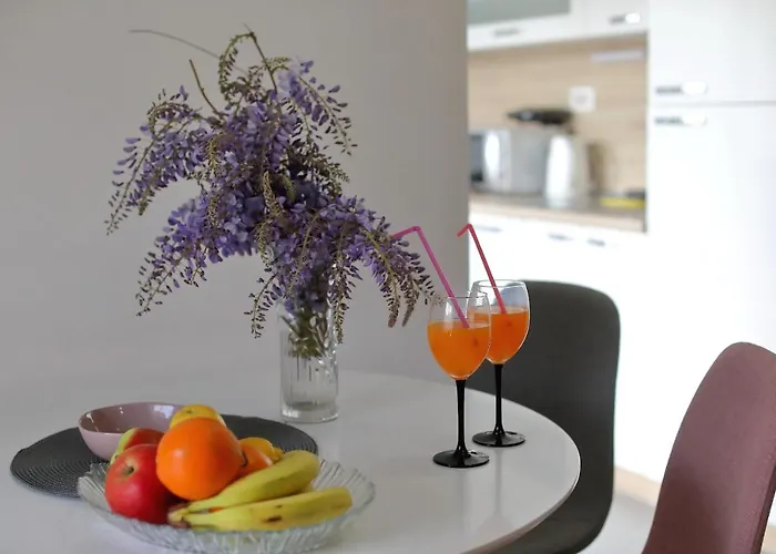 아파트 Nikic 비빈제